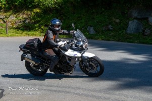 phoca thumb l  dsc3149