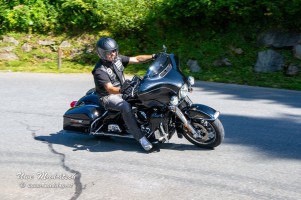 phoca thumb l  dsc3156