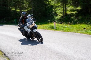 phoca thumb l  dsc3236