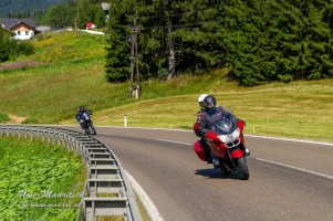 phoca thumb l  dsc3334