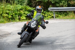 phoca thumb l  dsc0351